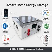 Batterie au lithium fer phosphate LiFePO4 intelligente 48V 16kWh, cycle profond, grade A, empilable, avec BMS intelligent et application Bluetooth
