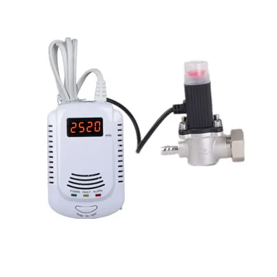 Factory wholesale lpg gas detector with solenoid valve lpg gas alarm with solenoid valve battery Voice alarming