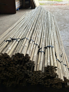 Piquets de soutien pour plantes en bambou robuste, canne naturelle de Tonkin pour pépinière, agriculture, ferme, jardin, vente en gros - Product Image 2