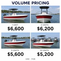 Bateau de pêche 4,3 m pour lacs et rivières, coque en V à 14 degrés, 60 CV max, console centrale en FRP, 4 personnes, 14 pi, 14,1 pi, 4300 mm, côtier, CE