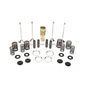 E50 cylinder head maintenance kits for TCG 2020/TBG 620 gas engine