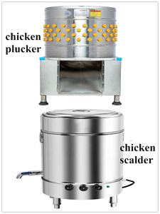 Machine à plumer les poulets en acier inoxydable électrique à petite échelle, machine à plumer la volaille, équipement d'abattage - Product Image 2