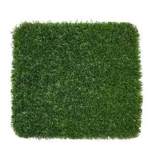 Unisport <span class=keywords><strong>Gazon</strong></span> artificiel <span class=keywords><strong>gazon</strong></span> synthétique pour terrain de football <span class=keywords><strong>Gazon</strong></span> Artificiel30Mm <span class=keywords><strong>35Mm</strong></span> 40Mm mur de <span class=keywords><strong>gazon</strong></span> artificiel sans remplissage - Product Image 1