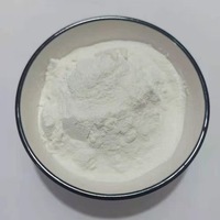 Extrait de Palmier Nain 25-45% Acides Gras Poudre Fine Brune Qualité Alimentaire Complément Herbal Santé de la Prostate Conditionné Sous Vide en Fût