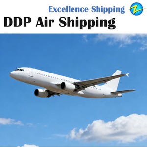 Affidabile Agente di Spedizione Aerea Internazionale, Trasporto Merci DDP da Shenzhen, Shanghai, Tianjin a Verona, <span class=keywords><strong>Trieste</strong></span> - Product Image 3