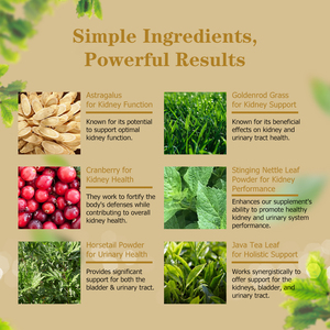 Capsules de détoxification et de réparation rénale de haute qualité : Améliore l'efficacité de nos compléments pour favoriser un soutien sain - Product Image 6