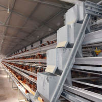 Système de cages en cage de type A, cage à poules pondeuses galvanisée, équipement d'élevage automatique pour l'élevage de poules pondeuses