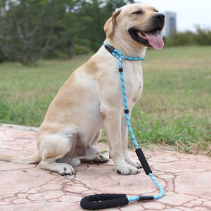 Cadena de correa de perro a prueba de explosiones de alta calidad, correa de nailon resistente para mascotas, correa reflectante de cuerda fuerte duradera con asa acolchada - Product Image 2