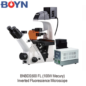 BNBDS500-FLシリーズ実験室用蛍光顕微鏡 - Product Image 2