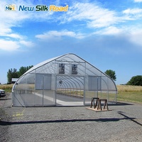 Serres agricoles à structure en acier galvanisé à simple travée, idéales pour la culture hydroponique de tomates avec film PE et irrigation – Offre Spéciale
