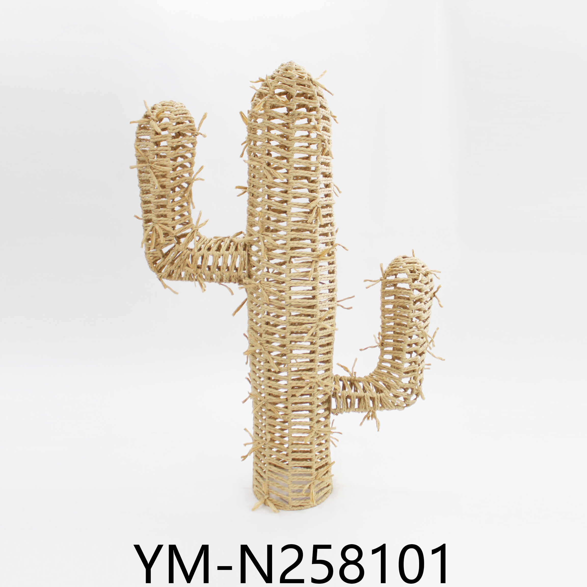 YM-N258101