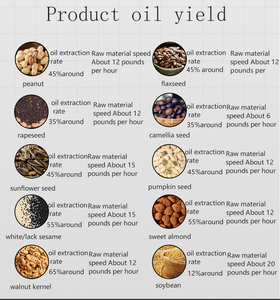 Prensa Hidráulica para Aceite de Maní, Segura y Ecológica, para Uso Comercial, Apta para la Producción de Aceite Comestible - Product Image 2
