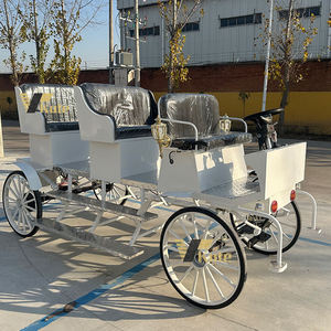 Carroza Eléctrica de Turismo de Bajo Consumo, Fácil Mantenimiento, para Operación Diaria Prolongada - Product Image 1