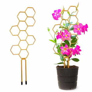 Treillis circulaire en plastique pour plantes grimpantes d'intérieur et d'extérieur, aide à façonner vos plantes - Product Image 6