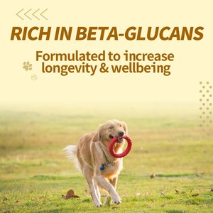 GANOHERB Suplemento para perros y gatos Polvo de esporas de Ganoderma Lucidum orgánico Polvo de hierbas - Product Image 5