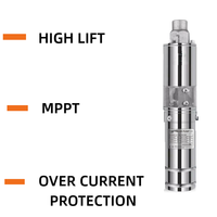 Pompe à eau solaire submersible 5-500m avec moteur DC en acier inoxydable à haut débit pour l'irrigation agricole et les pâturages