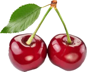 Hot bán Cherry Berry bột Cherry chiết xuất từ quả bột Tart Cherry nước trái cây ngay lập tức bột 10:1