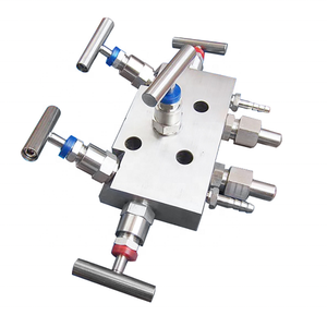 Easy In-Process Calibration 305 Coplanar Style 5 Ways Manifold - Product Image 3