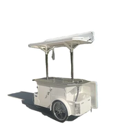 Tricycle électrique à 3 roues, chariot à glaces mobile de rue à vendre avec parasol