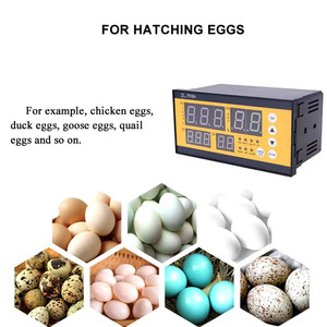 Bán hàng nóng zl7918a trứng lồng ấp điều khiển hoàn toàn tự động nhiệt độ độ ẩm cho trang trại nông nghiệp nở Máy HD - Product Image 6