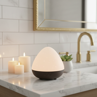 Diffuseur d'huiles essentielles de haute qualité, humidificateur d'air ultrasonique, diffuseur d'arômes pour la chambre, l'hôtel, le bureau, le spa