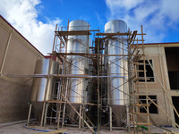 Cuve de fermentation de bière 200HL 20000L pour la fermentation de la lager et de la ale