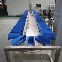 Échelle de classification pour l'équipement de nouvelle génération des abattoirs de volailles, disponible à la vente pour les industries d'abattage de volailles