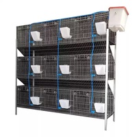 Nouvelle cage à lapins multifonctionnelle de type H avec construction en acier et en plastique