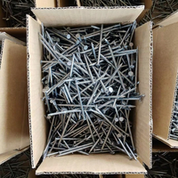 Clous en bois courants à tête plate et pointe effilée, plusieurs options de taille, distributeur de quincaillerie, prix compétitif OEM