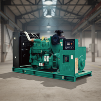 30 kVA Tragbarer Dieselgenerator, Einphasig, 25kW Geräuscharmer Inverter-Generator für den Hausgebrauch
