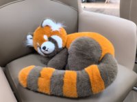 Peluche Panda Rouge Réaliste Personnalisée, Jouet Animal Doux et Moelleux, OEM ODM, Logo Personnalisé, Rembourrage Coton PP, Anti-Stress en Maille