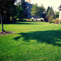 Aménagement paysager herbe de jeu extérieure pas cher prix jardin intérieur gazon artificiel tapis rouleau gazon synthétique