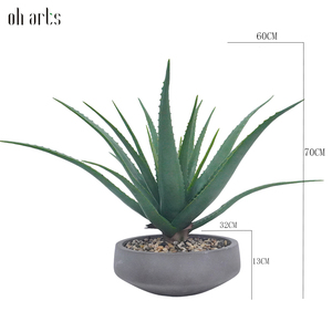 Plantes succulentes plantes artificielles fausses plantes d'<span class=keywords><strong>aloe</strong></span> <span class=keywords><strong>vera</strong></span> en pot de ciment plante d'agave pour la maison <span class=keywords><strong>bureau</strong></span> <span class=keywords><strong>bureau</strong></span> salle de bain étagère décorations - Product Image 2