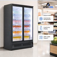 Réfrigérateur vertical commercial à double porte vitrée pour boissons, idéal pour supermarchés et magasins de proximité