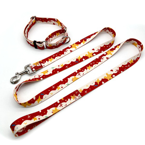 Laisse et collier de marche pour chien avec motif imprimé de logo personnalisé ensemble avec poignée rembourrée - Product Image 1