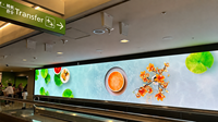 Écran d'affichage LED Transtech, panneau Cob P0.95/p1.26/p1.58, module pour usage commercial, 4K HDR10+, luminosité 600CD