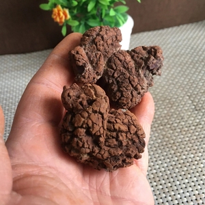 Venta al por mayor artesanías de cristal natural curación dinosaurio estiércol <span class=keywords><strong>coprolito</strong></span> petrificado para decoración del hogar y regalos - Product Image 2