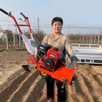 Mini motoculteur rotatif Triller 60cm avec moteur pour les commandes en gros dans les cultivateurs pour l'agriculture en rotation