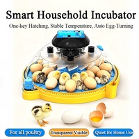 Incubateur domestique tout-en-un pour l'éclosion et l'élevage des jeunes poussins, avec alimentation automatique en eau, couvercle transparent et observation facile