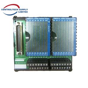 โมดูลฟิลด์บัส Foxboro P0916NB รุ่นดั้งเดิม FOUNDATION Fieldbus H1 ระบบอีเธอร์เน็ตแบบสำรอง - Product Image 4