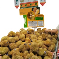 Support publicitaire magnétique pour étagères de supermarché en panneau KT, base transparente en mousse, jaune-vert magnétique