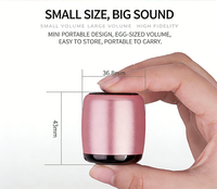 Nouveau Mini Haut-Parleur Bluetooth Portable Sans Fil 2026 – Basses Puissantes, Petit Canon d'Acier, Idéal pour l'Extérieur, le Sport et la Maison – Vente Transfrontalière