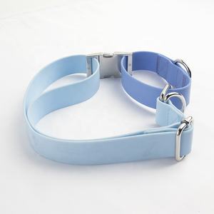 Neuestes Design Einstellbares wasserdichtes PVC-Trainings-Hunde halsband Gurtband Martingale Double Ring Custom Color Hunde halsband - Product Image 6
