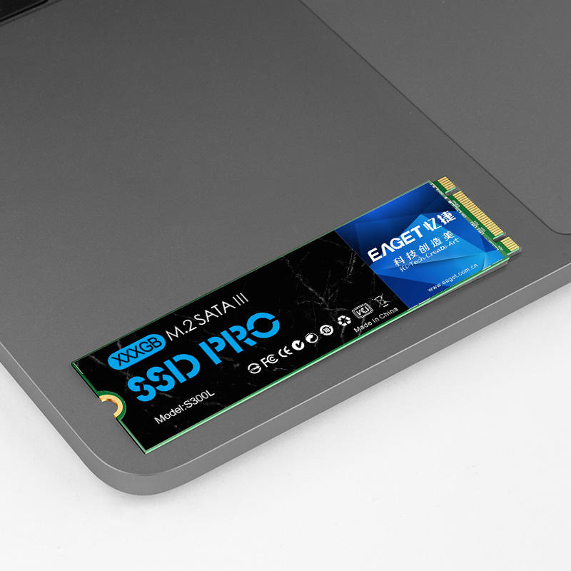 EAGET S300L 128GB/256GB/512GB/1TB M.2 SATA SSD 내장형 드라이브