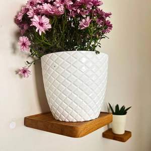 Modern Floating Wood Plant Shelf for Home Decor Wall Storage New Wooden Grain <strong>Shelving</strong> for Display - Product Image 3