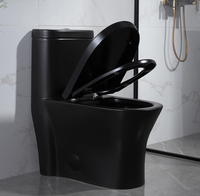 Usine personnalisée moderne noir double chasse montée au sol salle de bain Czarna Toaleta placard à eau une pièce céramique WC cuvette de toilette