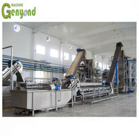 Tomatenpuree Maken Machine Tomaat Inblikken Productielijn Tomatenpuree Proces Machine Prijs