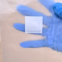 Sachets plats médicaux jetables en PE avec autocollant de dialyse à marquage à chaud, patch en papier, sacs étanches et résistants à l'humidité pour la vente en gros