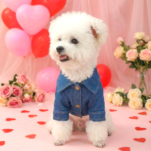 Ropa para mascotas PETCIRCLE para perros pequeños y medianos, artículos para mascotas, ropa para perros con estampados florales en lámina dorada - Product Image 3