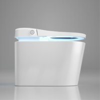 WC intelligent de luxe multifonction avec télécommande, couvercle automatique, chauffage instantané, bidet, lumière nocturne et chasse d'eau par siphon
